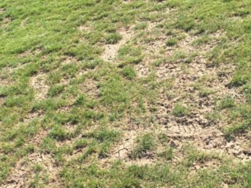 زمین چمن هلیلان سرمایه ای رها شده
