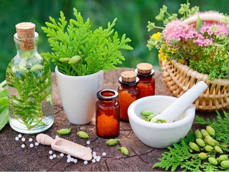 تشکیل ۲۲ پرونده تخلف برداشت گیاهان خوراکی در ایلام