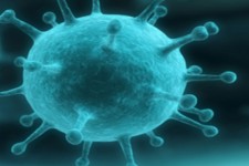 کاهش 35 درصدی تعداد مبتلایان به کرونا در ایلام