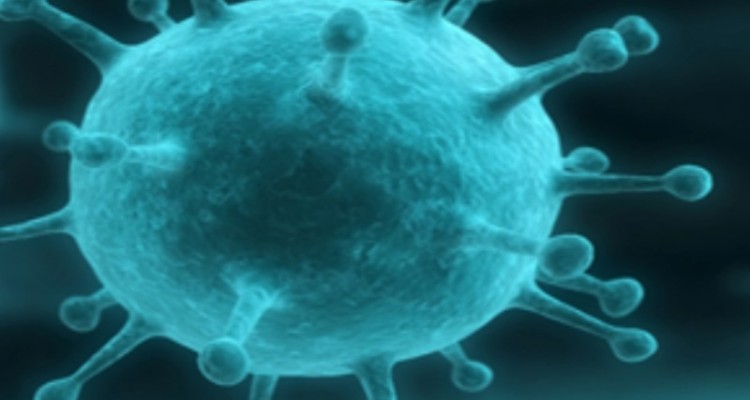 کاهش 35 درصدی تعداد مبتلایان به کرونا در ایلام