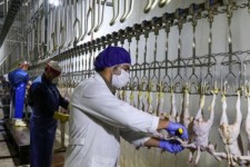 رئیس سازمان جهاد کشاورزی ایلام: هر دو کشتارگاه استان حق تعطیلی ندارند