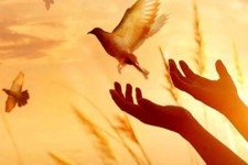 آزادی ۶۸۴ زندانی در استان ایلام