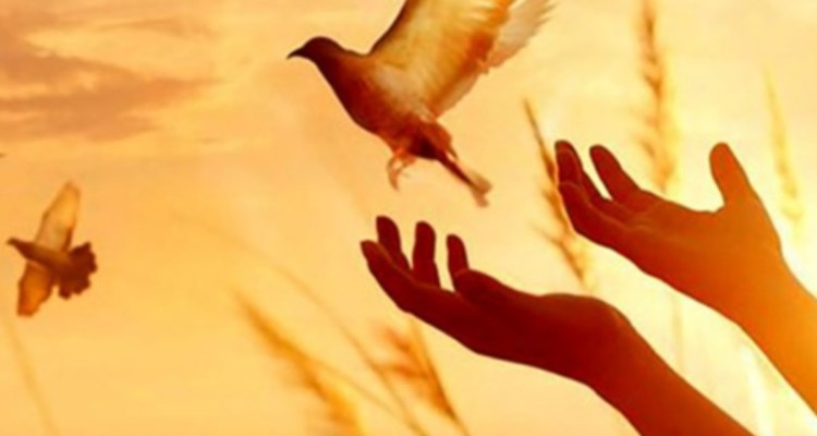 آزادی ۶۸۴ زندانی در استان ایلام