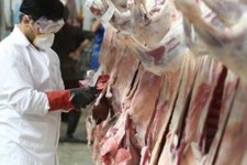 5324 مورد بازدید از مراکز عرضه فرآورده‌های خام دامی در ایلام