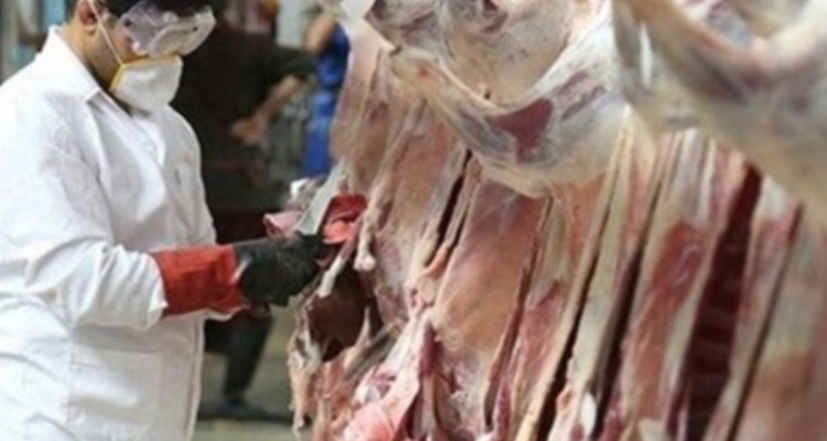 5324 مورد بازدید از مراکز عرضه فرآورده‌های خام دامی در ایلام