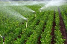 طرح ایستگاه پمپاژ سیروان برای 2650 نفر اشتغالزایی مستقیم ایجاد می‌کند