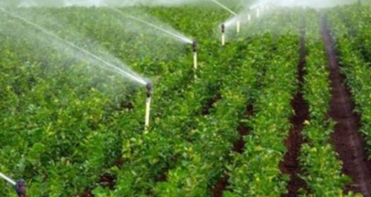 طرح ایستگاه پمپاژ سیروان برای 2650 نفر اشتغالزایی مستقیم ایجاد می‌کند