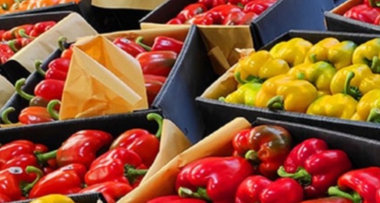 رشد 116 درصدی ارزش کالاهای صادراتی از مرز مهران به عراق