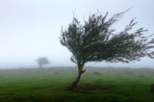 وزش باد شدید تا روز شنبه در ایلام ادامه دارد