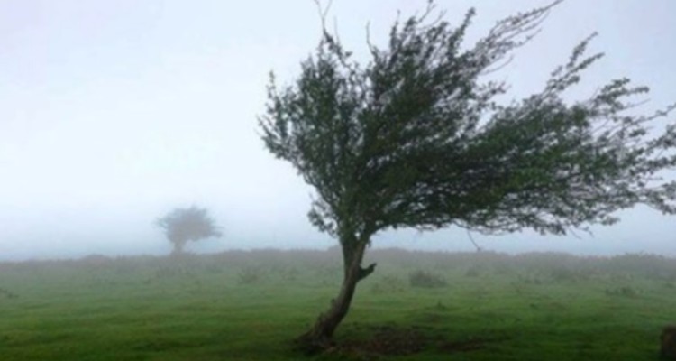 وزش باد شدید تا روز شنبه در ایلام ادامه دارد