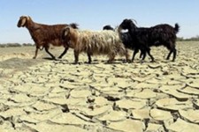 ذخیره کنونی سد ایلام تا پایان آذر جوابگوی آب شرب است/ کاهش ۴۶ درصدی بارندگی