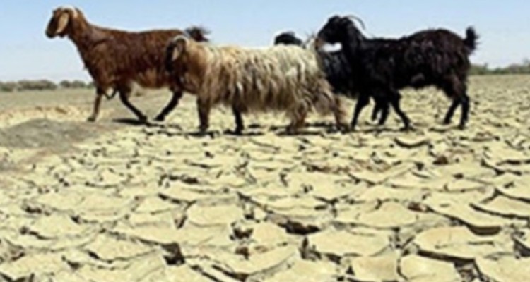 ذخیره کنونی سد ایلام تا پایان آذر جوابگوی آب شرب است/ کاهش ۴۶ درصدی بارندگی