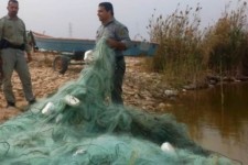 بیش از 1500 متر تور غیرمجاز ماهی‌گیری در سد سیمره کشف شد