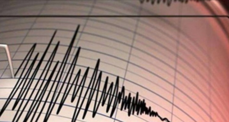 زمین لرزه‌ 3/7 ریشتری حوالی «صالح آباد» را لرزاند/ حادثه یک نفر مصدوم در پی داشته است
