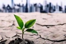 وعده های لسانی مسئولین در خصوص زمین های کشاورزی عقبه سد کرخه