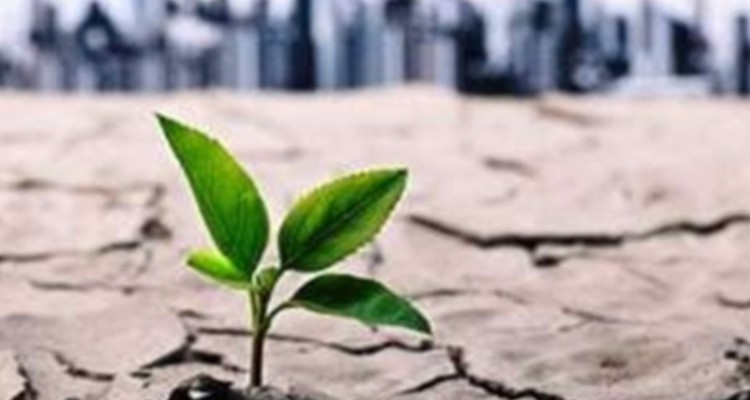 وعده های لسانی مسئولین در خصوص زمین های کشاورزی عقبه سد کرخه