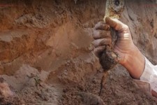 تفحص 2 پیکر شهید در مهران