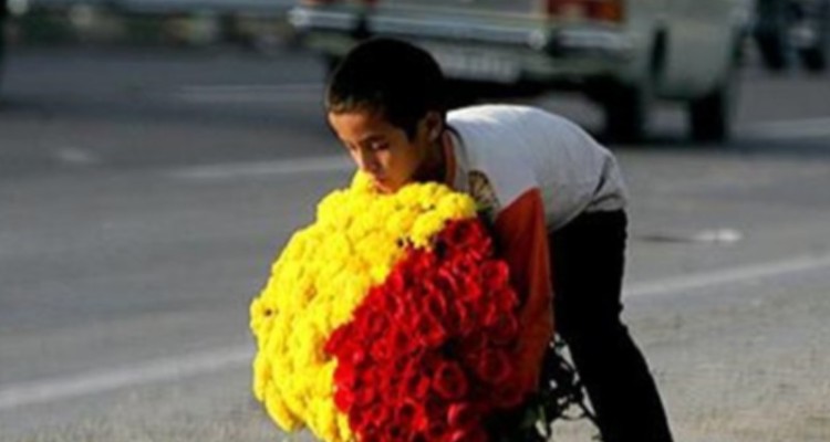 شناسایی و ساماندهی 71 کودک کار در ایلام