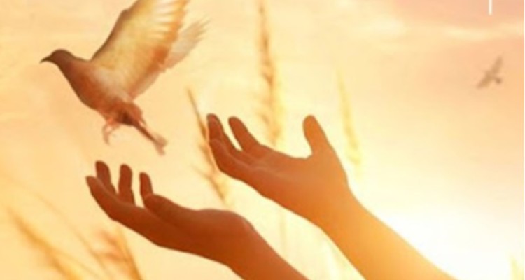 ۲۰ زندانی نیازمند محکوم مالی از زندان آزاد شدند