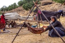 تیغ تیز خشکسالی بر گلوی عشایر/ کاهش 35 درصد فرآورده‌های دامی در ایلام