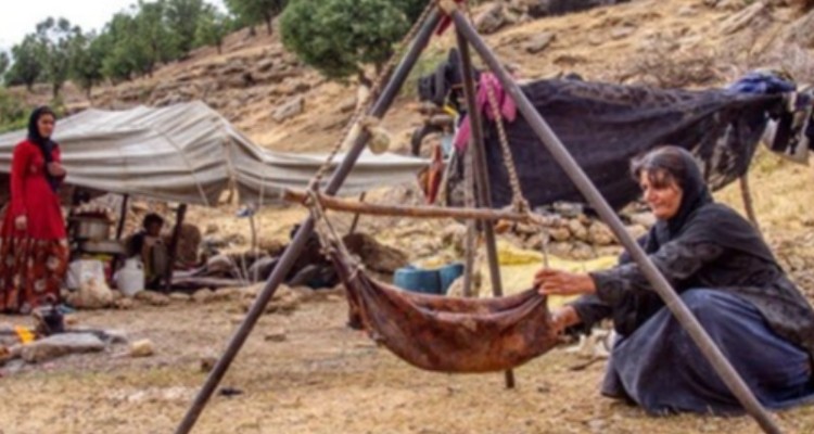 تیغ تیز خشکسالی بر گلوی عشایر/ کاهش 35 درصد فرآورده‌های دامی در ایلام