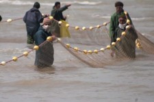 کشف و ضبط 130 قطعه ماهی از متخلفان زیست محیطی در ایلام