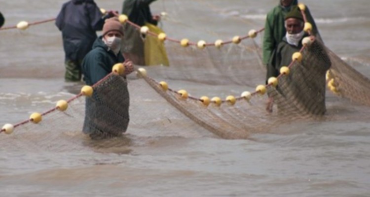 کشف و ضبط 130 قطعه ماهی از متخلفان زیست محیطی در ایلام