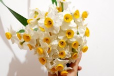 افزایش 38 درصدی برداشت گل نرگس در آبدانان