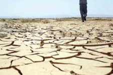 خسارت 100 درصدی به اراضی کشاورزی شهرستان چوار