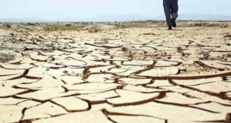 خسارت 100 درصدی به اراضی کشاورزی شهرستان چوار