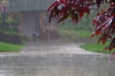 آماده باش دستگاه های ستاد پیشگیری