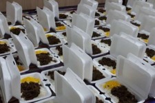 توزیع 5 هزار پرس غذای گرم میان میان نیازمندان شهرستان بدره