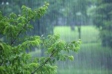 تداوم سامانه بارشی از امروز تا روز چهارشنبه