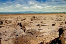 خسارت صد در صدی خشکسالی به اراضی کشاورزی شهرستان ملکشاهی