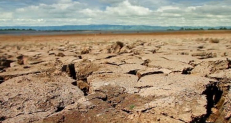 خسارت صد در صدی خشکسالی به اراضی کشاورزی شهرستان ملکشاهی