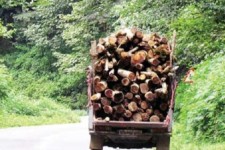 توقیف محموله ذغال قاچاق به ارزش ۱۵۰ میلیون ریال