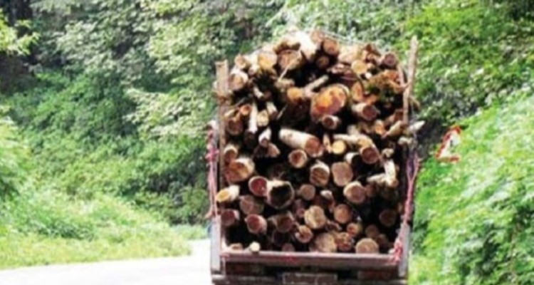 توقیف محموله ذغال قاچاق به ارزش ۱۵۰ میلیون ریال