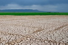 تیغ خشکسالی بر گلوی مزارع ایلام