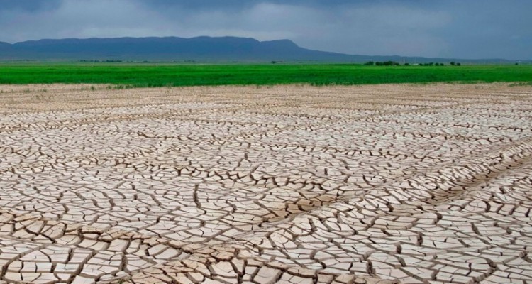 تیغ خشکسالی بر گلوی مزارع ایلام