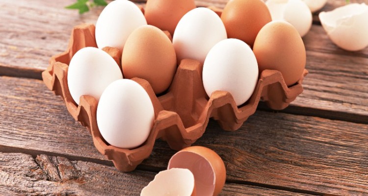 کشف بیش از ۲۰۰ کیلوگرم فراورده پروتئینی تاریخ مصرف گذشته در مهران