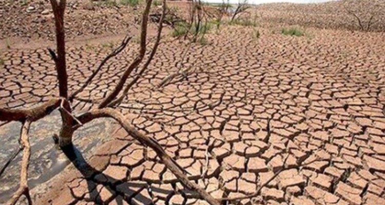 خشکسالی خسارت ۸۰ درصدی به مزارع دیم شهرستان ایوان