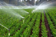 اجرای ۶۱۰ هکتار سیستم آبیاری نوین از سال گذشته تا کنون