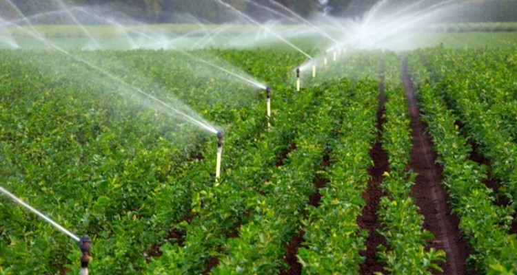 اجرای ۶۱۰ هکتار سیستم آبیاری نوین از سال گذشته تا کنون