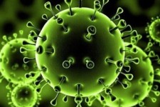 وضعیت کرونا در ایلام آبی شد