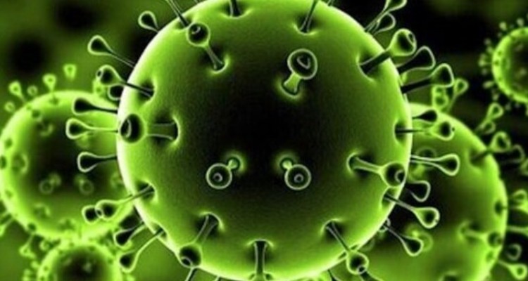 وضعیت کرونا در ایلام آبی شد