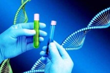 پرداخت ۲۰ میلیارد ریال  توسط بهزیستی به زوج های نیازمند جهت آزمایش ژنتیک