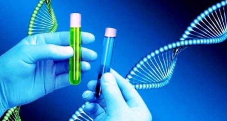 پرداخت ۲۰ میلیارد ریال  توسط بهزیستی به زوج های نیازمند جهت آزمایش ژنتیک