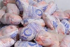 نگهداری مرغ های مازاد در سردخانه