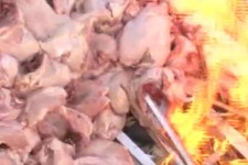 کشف ۲۲۰۰ کیلوگرم مرغ فاسد در چرداول