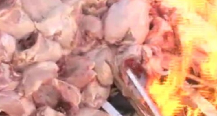 کشف ۲۲۰۰ کیلوگرم مرغ فاسد در چرداول